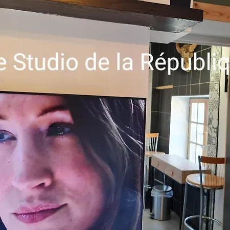 Apartment Le De La Republique