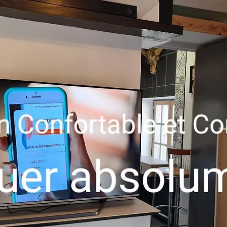 Le De La Republique Apartment *