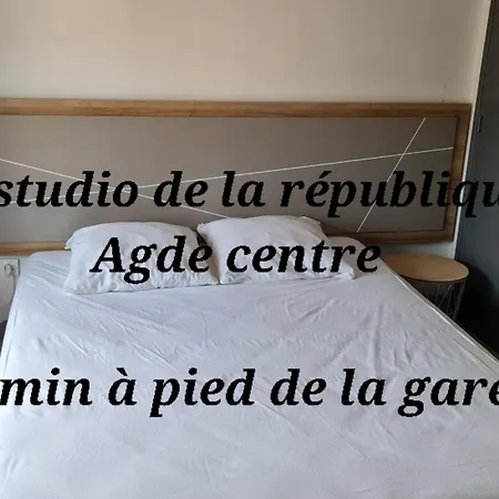 Le De La Republique Apartment *
